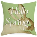 Funda de cojín de Pascua con conejo y frase Hello Spring en tela de color verde - 45*45cm Lino Una Cara Sin Núcleo / Conejo Hello Spring (DYM228-4)