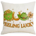St. Patrick's Day Kissenhülle mit Glücksmünzentopf und grünem Cowboyhut-Motiv - Goldtopf und Feeling Lucky Stil (DYM97-3) / 45*45cm Leinen Einseitig Ohne Füllung