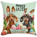 Easter pillow cover featuring cute dachshunds with rabbit ears and colorful eggs - 45x45cm Single-sided No Insert / Dachshund Pattern 4 (DYM301-4)