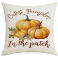 Funda de cojín cuadrada de otoño con calabazas naranjas y texto decorativo en inglés - 45x45cm / Estilo Cita Calabaza (DYM338-2)