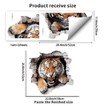 Guide des tailles de stickers tigre 3D montrant les dimensions reçues et finales posées - Style de tigre mural brisé en 3D (PH_QTB357)