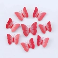 Set mit 8 roten 3D Dekoschmetterlingen mit weißen Mustern und faltbaren Flügeln - 6cm (Magnetisch) / Rot