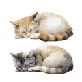 Niedliche schlafende Kätzchen Wandaufkleber im Aquarell-Stil für gemütliche Dekoration - Schlafende Katze Stil (PH-QT-1018)