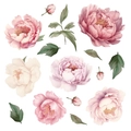 Watercolor peony flower wall decals set with pink blossoms and green leaves for room decor - Watercolor Peony Floral Style (PH-QT1034)