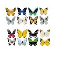 Set mit 16 bunten Schmetterling-Wandstickern mit diversen Mustern zur Raumdekoration - Mehrfarbige Schmetterlinge (PH-HD004)