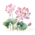 Détail de stickers muraux lotus aquarelle montrant les pétales fins et textures de feuilles - Lotus Style A (PH-QT618A)