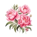 Detail der rosa Pfingstrosen-Wandaufkleber mit Aquarell-Blüten und grünen Blättern - Aquarell Pfingstrose Stil A (PH-QT619A)