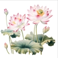 Détails de stickers muraux lotus aquarelle et feuilles vertes pour décoration - Lotus Style D (PH-QT618D)