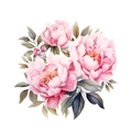 Detail von rosa Pfingstrosen Wandtattoo mit Aquarellblättern und grünen Details - Aquarell Pfingstrose Stil B (PH-QT619B)
