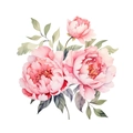 Nahaufnahme der handgemalten Aquarell Pfingstrose Wandaufkleber mit grünen Blättern - Aquarell Pfingstrose Stil C (PH-QT619C)