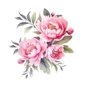Detail von Pfingstrosen-Wandstickern mit zarten Blüten und Blättern für Heimdekoration - Aquarell Pfingstrose Stil D (PH-QT619D)
