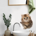 Süßer Katzenwandaufkleber mit blauen Augen für DIY Badezimmer- und Toilettendekor - M-D Katzenstil
