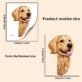 Tabella dettagliata delle dimensioni per adesivo murale Golden Retriever 15cm x 12,3cm - Cane Luce Blu (YG_A221)