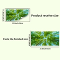 Dettaglio dimensioni adesivo murale foresta con misure di ricezione e layout - Adesivo per Soffitto Paesaggio Forestale (PH_QTA1059)