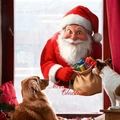 Detalle de pegatinas navideñas para ventanas con Papá Noel y texto de Merry Christmas - Papá Noel Cargando Bolsa de Regalos (JDT-A245)