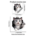 Adesivo da parete gatto 3D che mostra le dimensioni del prodotto ricevuto e applicato - Gatto con Occhi a Stella che Saluta (PH_QTB169)