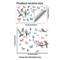 Pegatinas de ventana con pájaros y mariposas con dimensiones y diseño detallado - Pájaros Y Mariposas En Acuarela (JDT-A335)