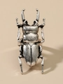 Macro shot of silver stag beetle ring showing vintage metal texture and intricate insect detail - Stag Beetle Ring (DZ-460) / Antique Silver