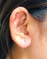 Minimalist silver lightning leaf crawler earrings in long needle industrial design - Minimalist Style Silver (6571)
