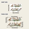 Detailed sheet size and finish size dimensions for colorful sparrow bird wall stickers - 40*60cm/fun-e362