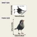 Detailed sheet and finish size dimensions for realistic black bird wall sticker - 10*14cm/fun-f1044 Transparent Single Color