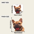 Französische Bulldogge Wandtattoo Größenvergleich mit Bogenmaß und fertigen Produktmaßen - 19*19cm (fun-f1069 Mehrfarbig)