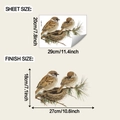 Detail view of bird wall sticker showing sheet size and finish dimensions for application - 20*29cm/fun-f1071 Transparent Color