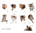 Detailed 3D cat dog and hamster wall stickers set showing 20x30cm size dimensions - Full Set of 9 Animal Styles