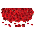 Dettaglio macro di adesivi murali con rose rosse, foglie verdi e petali sparsi decor - 60x90cm