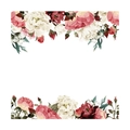 Detalle de vinilos de pared con peonías rosas y rojas con bordes florales elegantes - 45*60cm