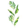 Detail van aquarelillustratie van monstera en bananenbladeren muurstickers decoratie - 40*60cm Indeling