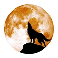 Détail d'un sticker mural lune orange texturée avec silhouette de loup noir hurlant - 30x30cm / Jaune