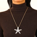 Silberner Seestern-Anhänger an brauner Kordel, eleganter Ozean-Stil lange Pulloverkette - Silber Seestern Stil (2554)