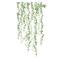 Detail van aquarel muursticker met hangende groene bladeren en plantendecoratie - 30*90CM*2PCS Lay-out