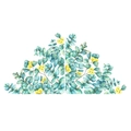 Detail von Aquarell Eukalyptusblättern und gelben Blumen Wandaufklebern auf weißem Hintergrund - 30*90CM*2PCS Layout