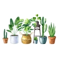 Detalles de vinilos de pared de plantas en acuarela mostrando Monstera y cactus - Diseño de 30*90CM*2PCS
