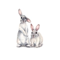 Detail of watercolor rabbit wall stickers featuring soft pink ears and artistic texture - 30*40cm Layout