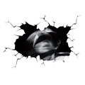 Macro view of 3D Halloween wall decal featuring cracked wall effect and masked figure - 39*27.3cm Layout
