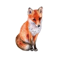 Detailed watercolor texture on hand-painted fox wall decal with soft orange fur strokes - 29*46CM Layout