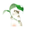 Detailed watercolor wall sticker featuring a cute grey tabby cat holding a green leaf umbrella - 30*60cm Layout