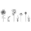 Detail showing various black and white sketched sunflower and floral wall sticker designs - Sketch Sunflower And Grass Style (FX-C67)