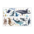 Details der Meeresbewohner-Wandsticker mit Wal-, Hai- und Delfinmotiven im Layout - Meerestiere Stil (MG9116)