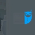 Adesivo murale gufo luminoso con effetto bagliore blu per decorazione interruttore - Luce Blu (YG58)