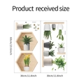 Dimensiones detalladas de los vinilos de plantas verdes con estantes hexagonales y macetas - 30*60cm (Paquete de 2)