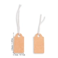 Detail of small kraft paper tags with white strings measuring 2.6cm by 1.3cm - Small Kraft Tag with Elastic String (A5-446)