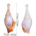 Dettaglio di pendenti in acrilico a forma di conchiglia con misure per gioielli fai da te - Conchiglia Bionica Sfumata Arancione Bianco (A6-025)
