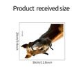 Detailed size information for funny horse head wall decal measuring 30x24cm and 11.8x9.4inch - 24*30cm