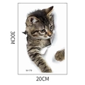 Detailansicht 3D Katzen Wandaufkleber mit realistischer Getigerte Katze und Maße 20x30cm - Getigerte Katze Kopf Herausstrecken (M-179)