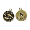 Vintage bronze Pisces zodiac charm pendants for DIY necklaces and bracelets making - Pisces Style (5) / 1 Piece (15x12mm) / Antique Bronze