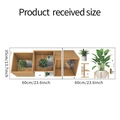 Layout del prodotto e dimensioni degli adesivi murali con piante verdi in due fogli - Stile Scaffale in Legno per Piante Succulente Simulate (FX-E226)